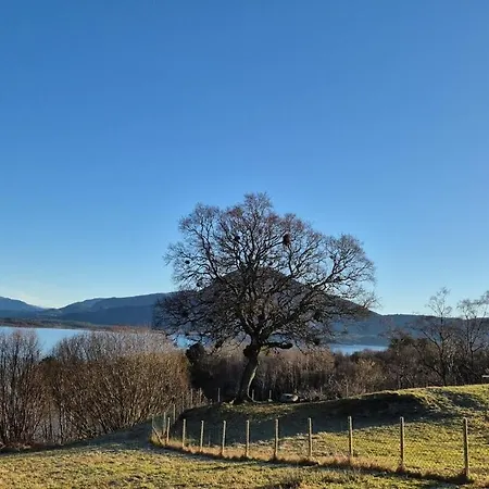 Nygjerdet Gossen Gossa