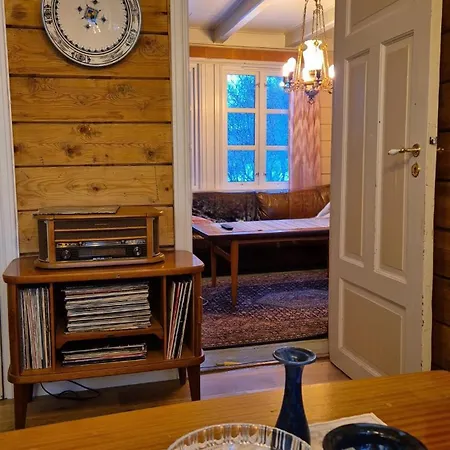 Nygjerdet Gossen Gossa