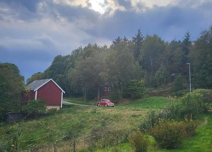 Nygjerdet Gossen *