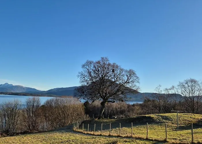 Nygjerdet Gossen Gossa